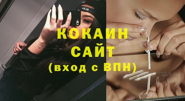 прущие грибы Болхов